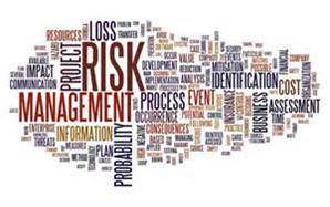Elements of Risk management in a montage of grouped risk words 